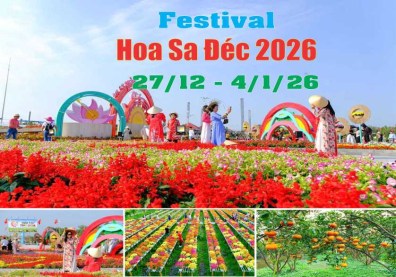 hinh-festival-hoa-sa-dec-26-8384